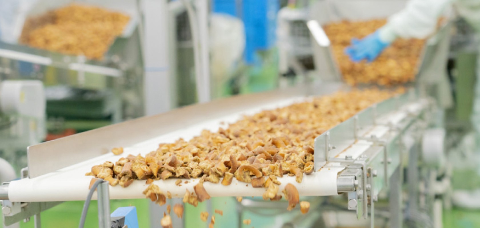 菓子の生産・加工